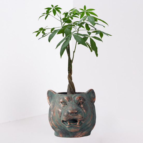 Unique Stylish Animal Planters and Pots Fiber Clay Tiger Head Bronze Gold Black Plant Pot