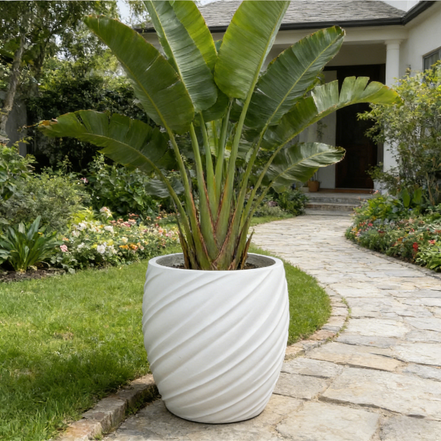 Dia 26/35/46cm Large White Planters Factory Wholesale Round Flower Pot Home Garden Indoor Outdoor Fiber Clay Plant Pots