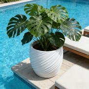 Dia 26/35/46cm Large White Planters Factory Wholesale Round Flower Pot Home Garden Indoor Outdoor Fiber Clay Plant Pots