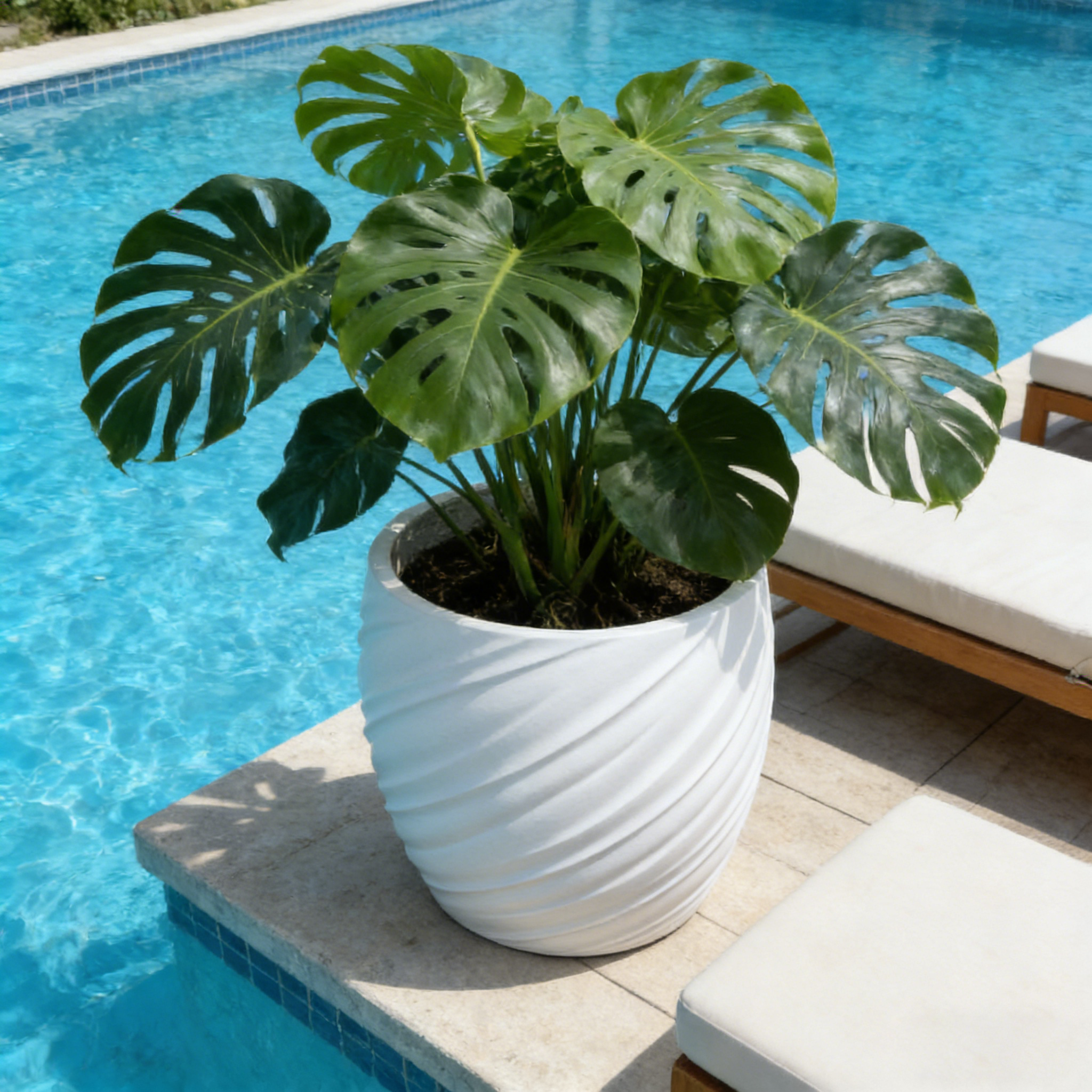 26/35/46厘米大型白色花盆厂家批发圆形花盆家庭花园室内室外纤维粘土花盆