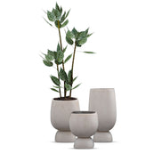 Neuheit Blumentöpfe Fabrik Großhandel Blumenvase Töpfe für Heimdekoration Große Pflanzgefäße Tonkunst Pflanzgefäße