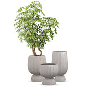 2025 Neue Kollektion Ton-Pflanzgefäße Direktverkauf ab Werk Große Pflanzkübel Moderne Blumentöpfe Outdoor Indoor Fiber Pflanzentöpfe