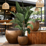 Cement Concrete Flower Pot Planter Factory Wholesale Large Eco-Friendly Garden Pots with Drainage Hole for Outdoor & Indoor Use