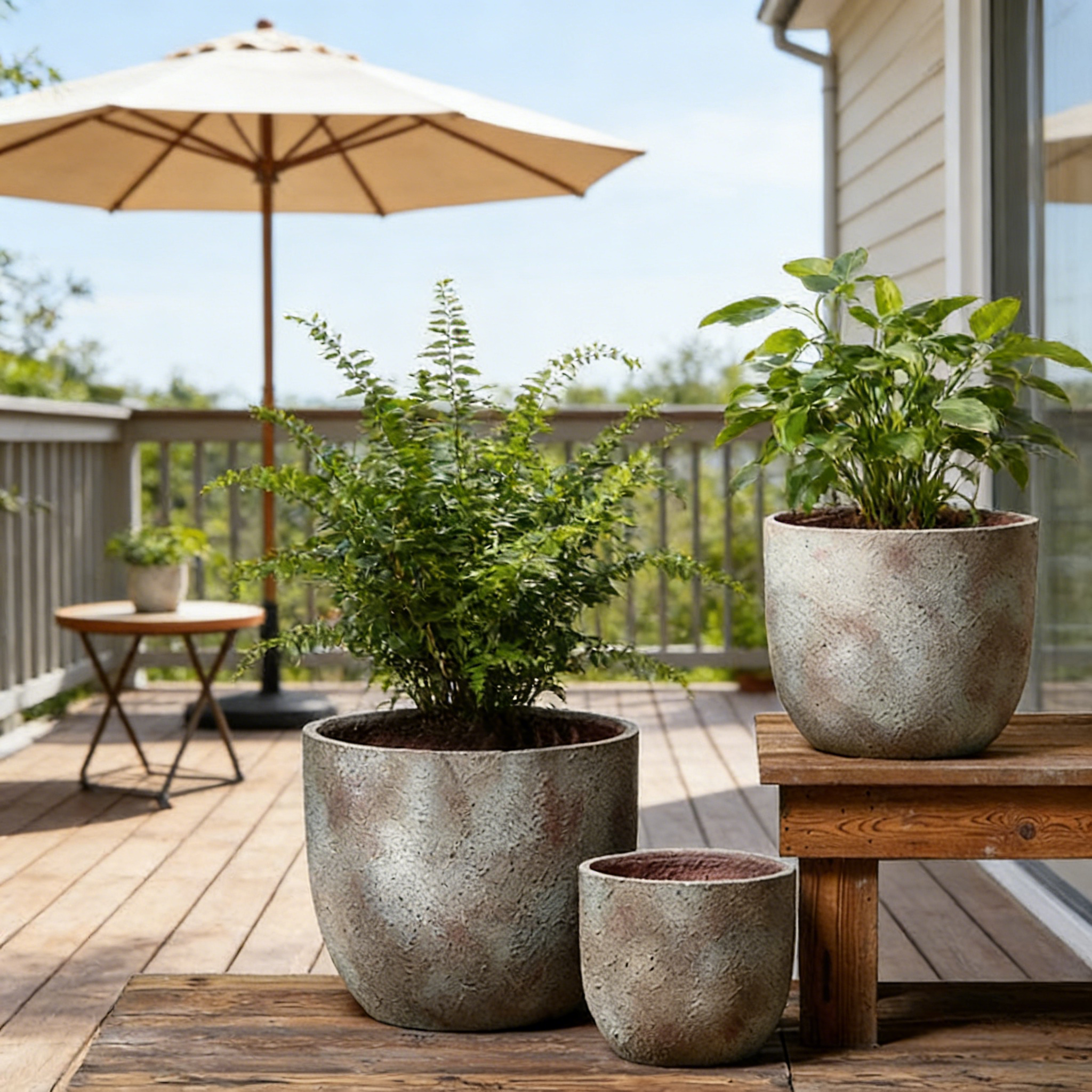 Large Wholesale Durable Eco-Friendly Cement Retro Design Flower Pots with Drainage Hole for Indoor/Outdoor Use