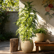 Zement-Rattanmuster Umweltfreundlicher großer Blumenkübel für drinnen und draußen im Garten und Zuhause