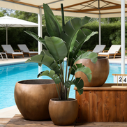 Cement Concrete Flower Pot Planter Factory Wholesale Large Eco-Friendly Garden Pots with Drainage Hole for Outdoor & Indoor Use