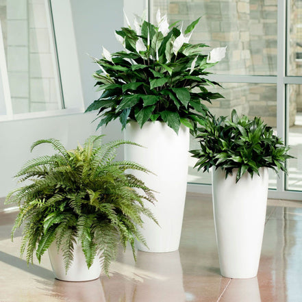 Individuelle, handgefertigte, moderne, umweltfreundliche Bodenvase, 32 Zoll hohe Blumentöpfe aus Fiberglas, Pflanzgefäße, Wohnzimmer, Hotel, Eventcenter