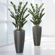 Manufacturer Custom Wholesale Fiberglass Flower Pots Planters Indoor Big Size Floor Vases for Plants Flowers Home Decor