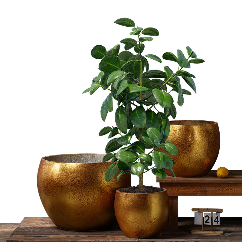 Großer goldener Blumentopf, kugelförmige Pflanzgefäße, Zement-Blumentopf für drinnen und draußen