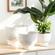 Beliebter kreativer Beton-Pflanzkübel Mini-Pflanzentopf Hersteller Großhandel Innen- und Außenbereich Zement-Blumentopf